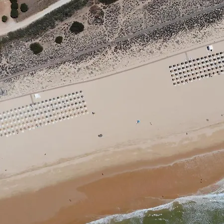 The Palm At The Palm Village 2 Bedrooms *