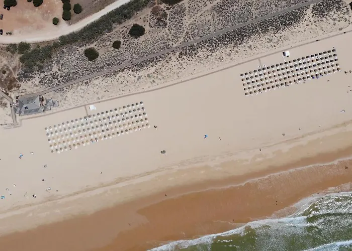 The Palm At The Palm Village 2 Bedrooms *